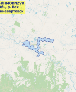 Карта Обь (Нижневартовск, р. Вах)